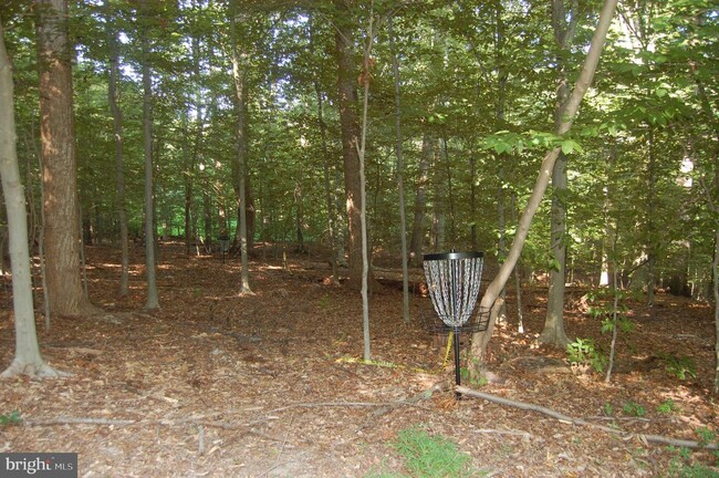 Building Photo - 9728 Swift Creek Ct