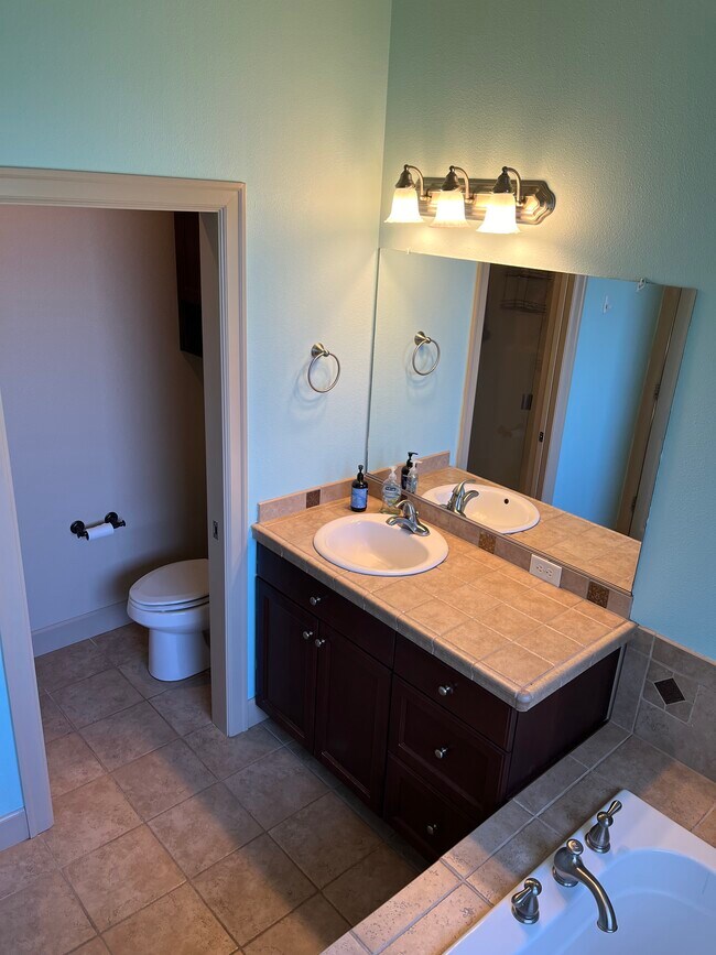 Master Bathroom - 35536 Jakobi St