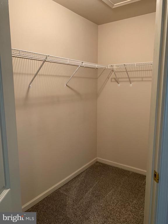 Building Photo - 47 Quince Tree Dr