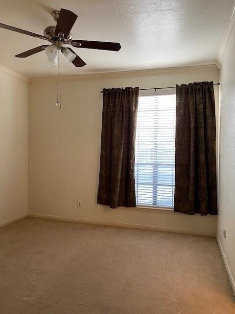 Building Photo - 2121 El Paseo St