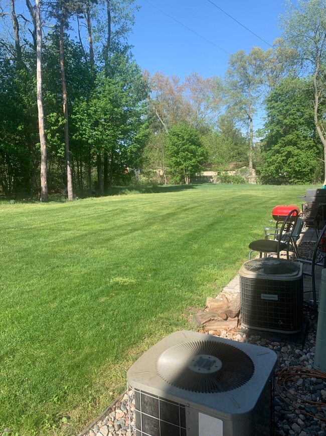 Backyard - 475 W Mae Rose Ave