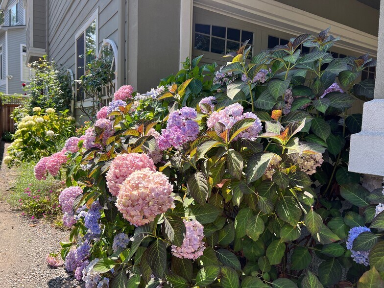 Building Photo - 12323 NE 102nd Ln