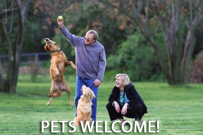 Building Photo - Cute Home in the Heart of Green Bay! PETS WELCOME