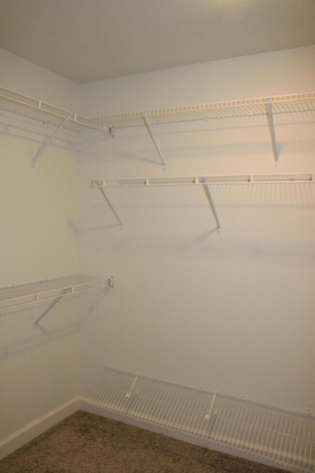 Building Photo - 8116 Bannock Cir