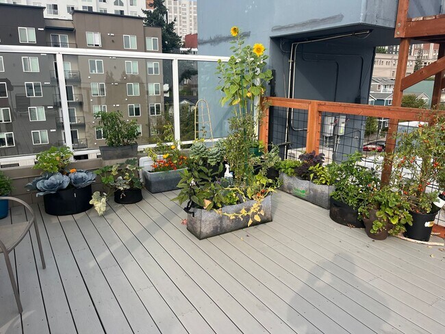 Building Photo - Sky Terrace 2 Bedroom 1.5 Bath Condo with ...