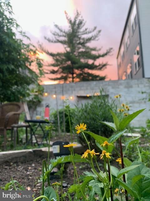 Building Photo - 2038 E Dauphin St