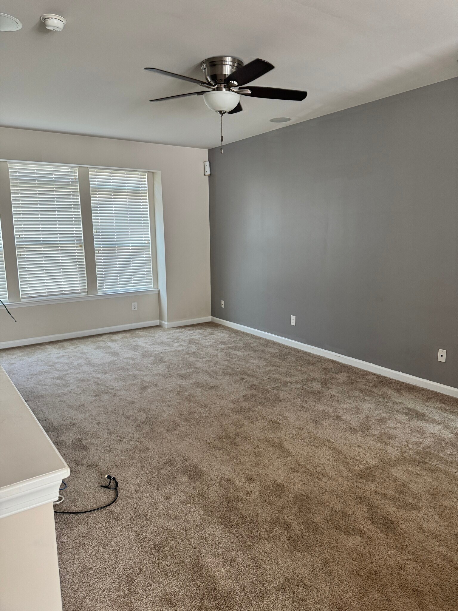 Building Photo - 4369 Pickney Ln