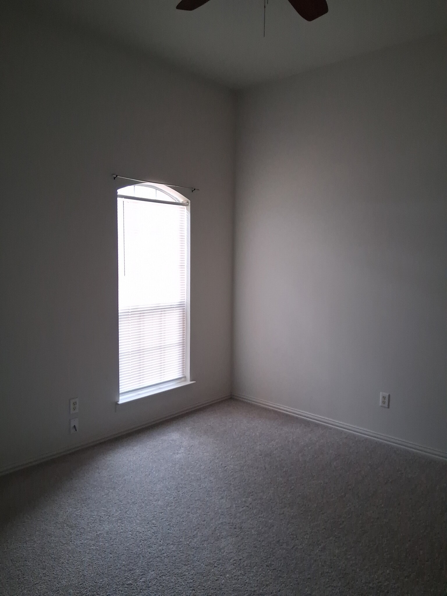 Building Photo - 1016 Brookhaven