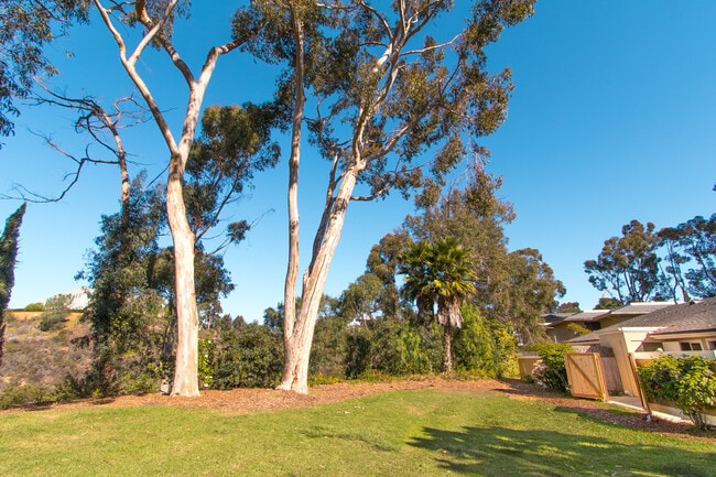 Building Photo - Elegantly Upgraded 2 Bed/1 Bath Condo in UTC with Private Patio/Washer & Dryer!