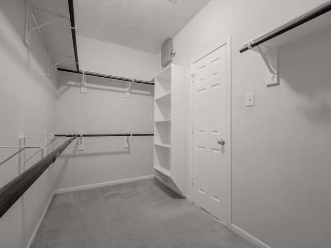 Building Photo - 24531 Via Salerno Ct