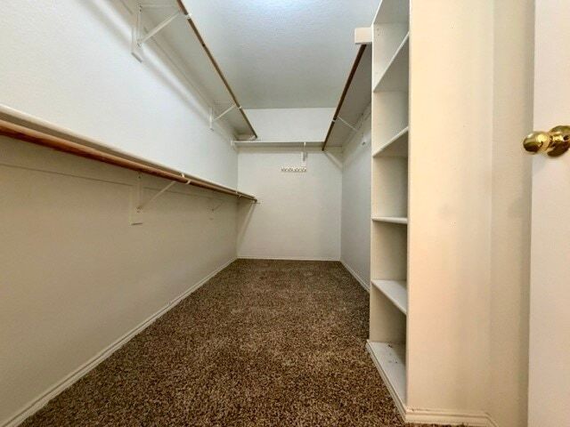 Building Photo - 1611 Windcastle Dr
