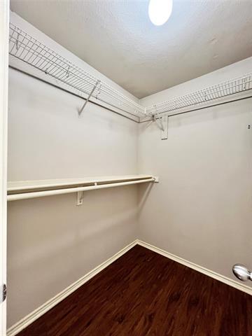 Building Photo - 2804 Cameron Way