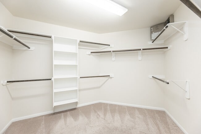 Building Photo - 27010 Soapstone Terrace Ln