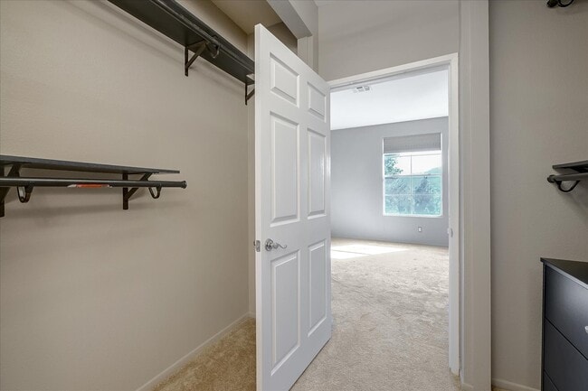 Building Photo - 10820 Sabre Hill Dr