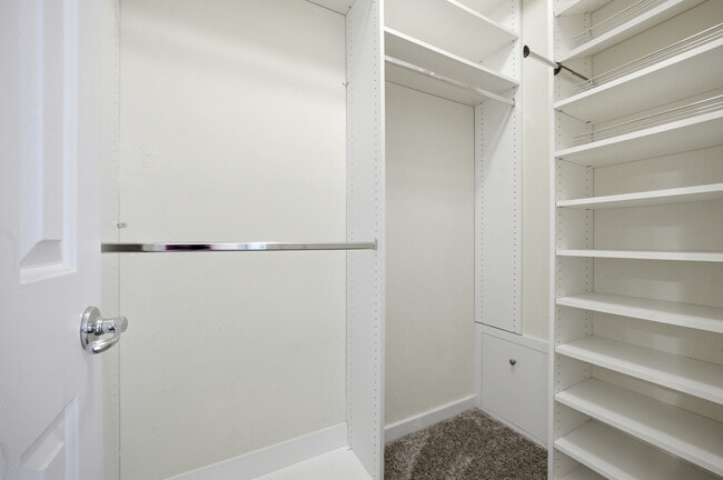 Building Photo - 3211 Calisha Ct