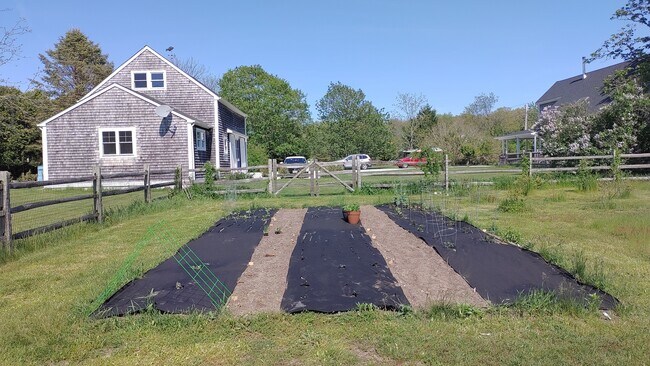 Separate vegetable garden for your use (shared) - 94 Cross Rd