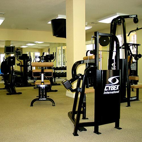 Gym - 11016 Legacy Dr