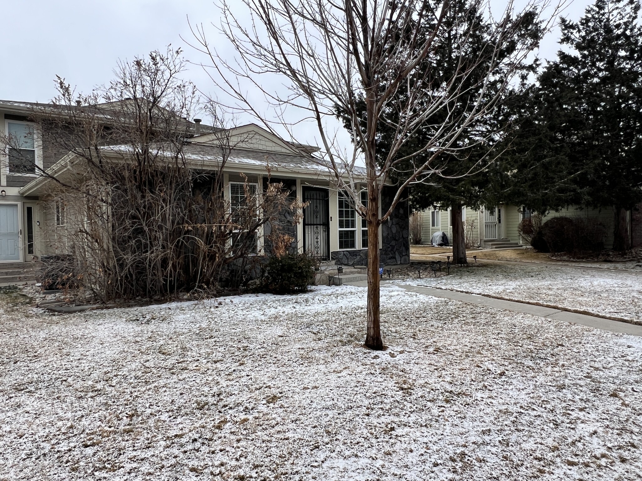 Large front yard with lush landscape - 6650 E Arizona Ave