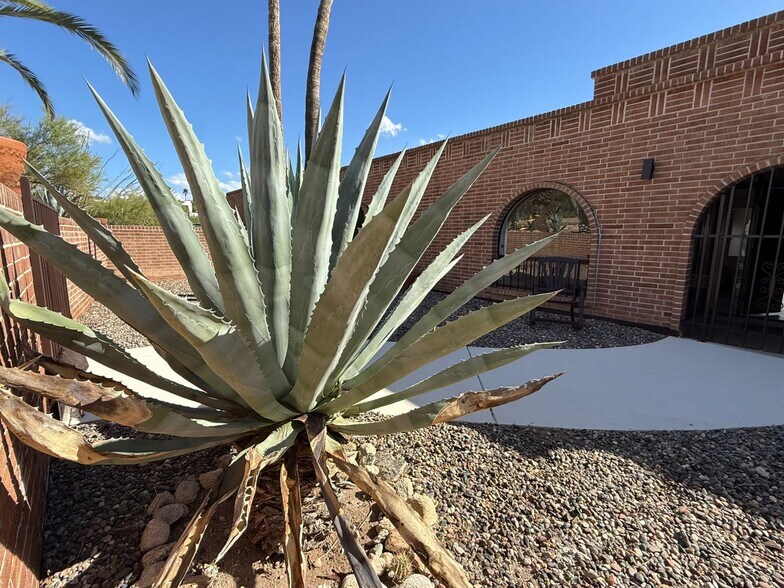 Building Photo - 1402 E Big Rock Rd