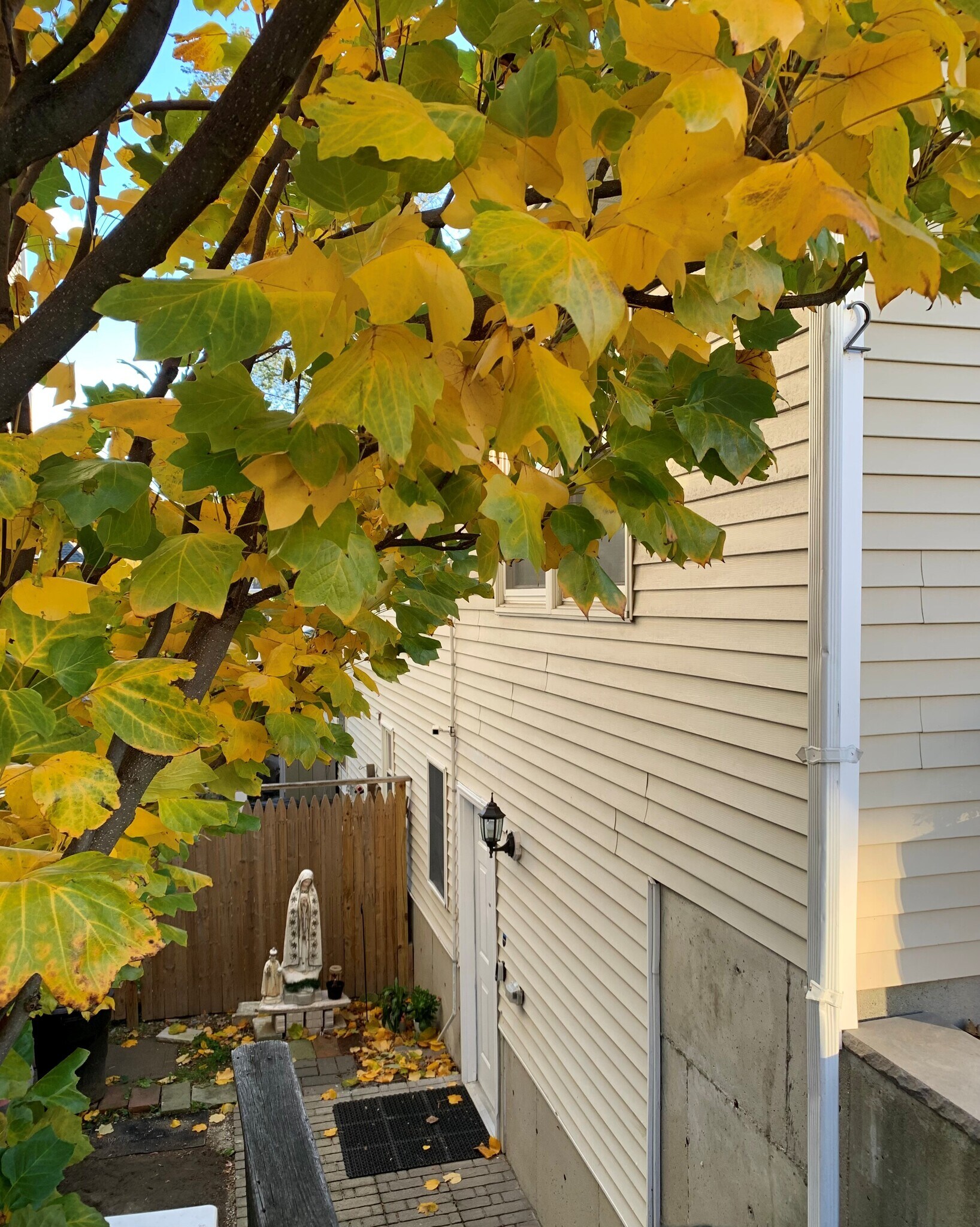 Building Photo - 178 Mountain Ave