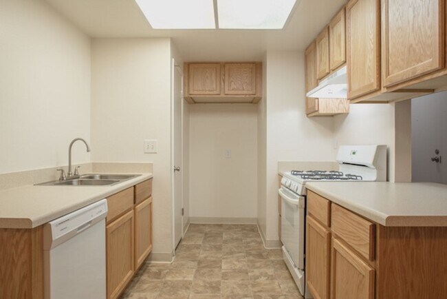 Building Photo - The Del Ciervo Apartments