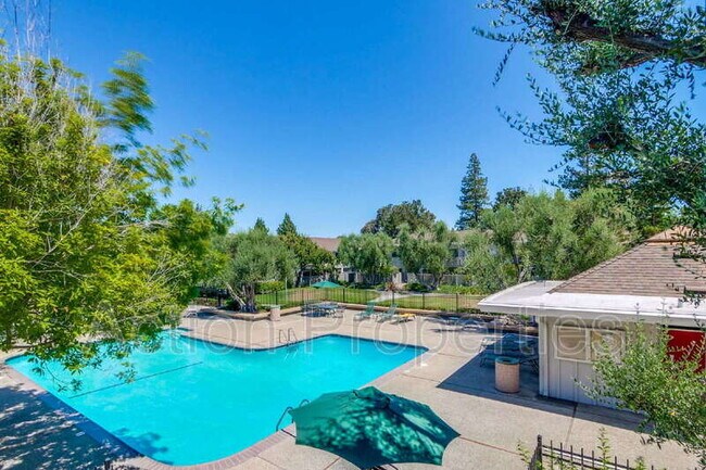 Building Photo - 255 S Rengstorff Ave