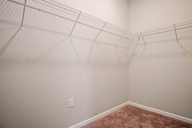 Building Photo - 1229 Forest Gate Cir