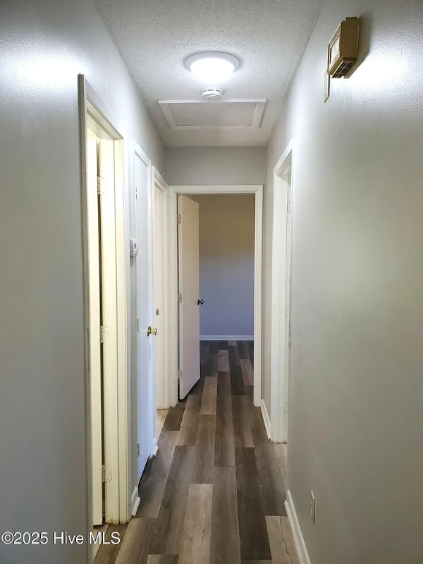 Building Photo - 305 Rhode Island Ave