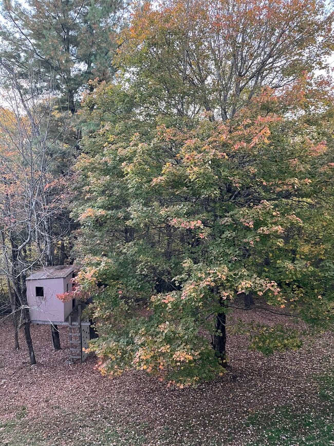 Building Photo - 630 Sorrento Dr