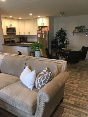 Stainless Appliances, Quartz Counter, Soft Close cabinets, Open floorplan - 2609 Pico Pl