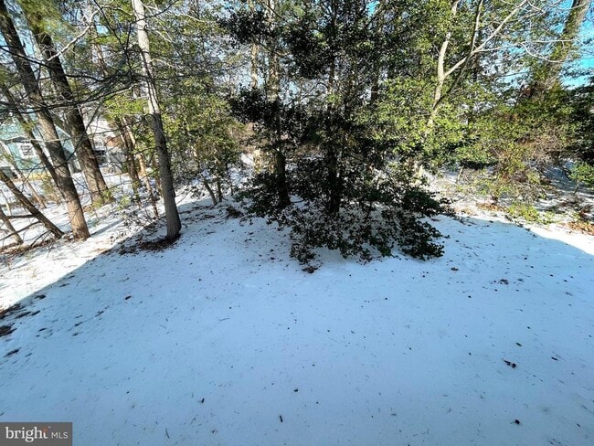 Building Photo - 45586 Curley Ct