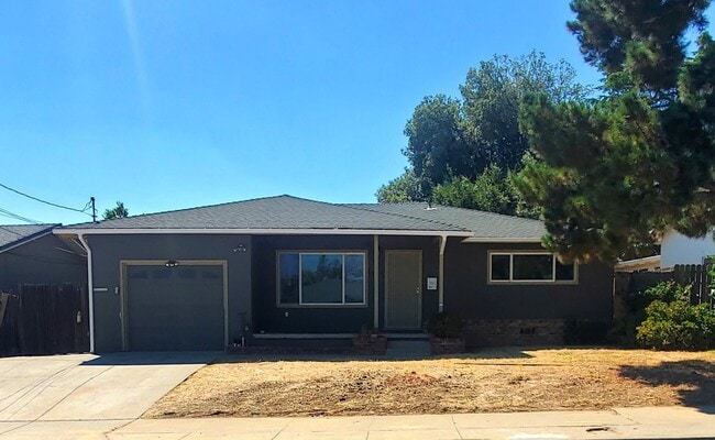 Primary Photo - Single story 4/2 with a large backyard clo...