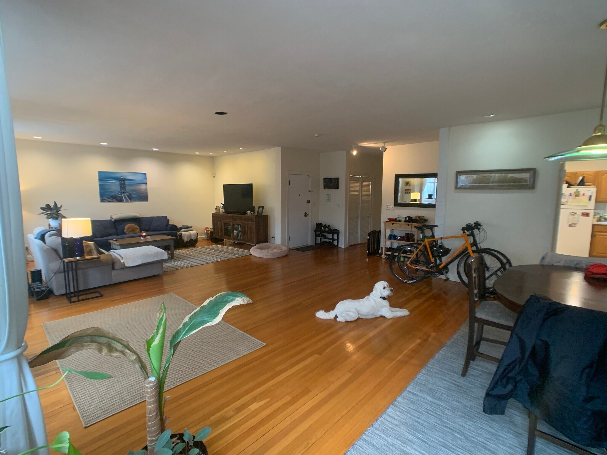 Building Photo - 20 Dean Rd