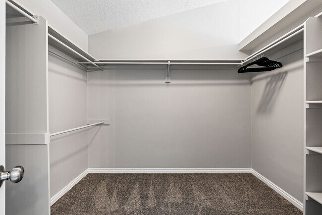 Building Photo - 1162 Cave Hollow Ln