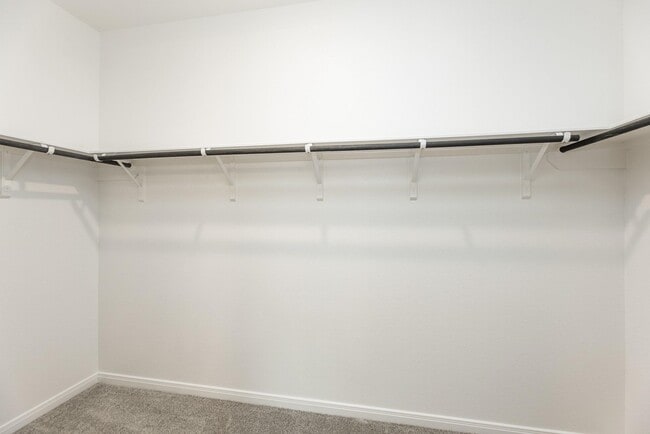 Building Photo - 30338 Tall Fescue Dr