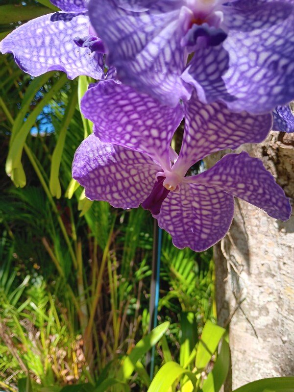 Building Photo - 1257 SE Airoso Blvd