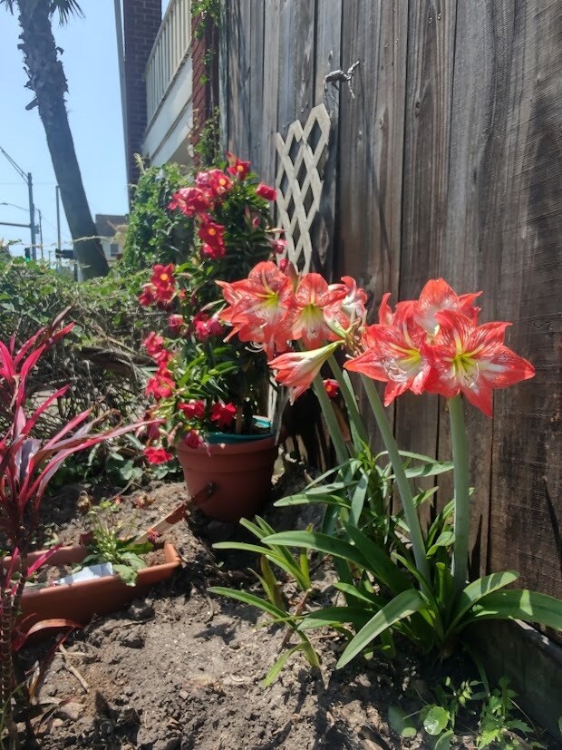 Building Photo - 1815 37th St