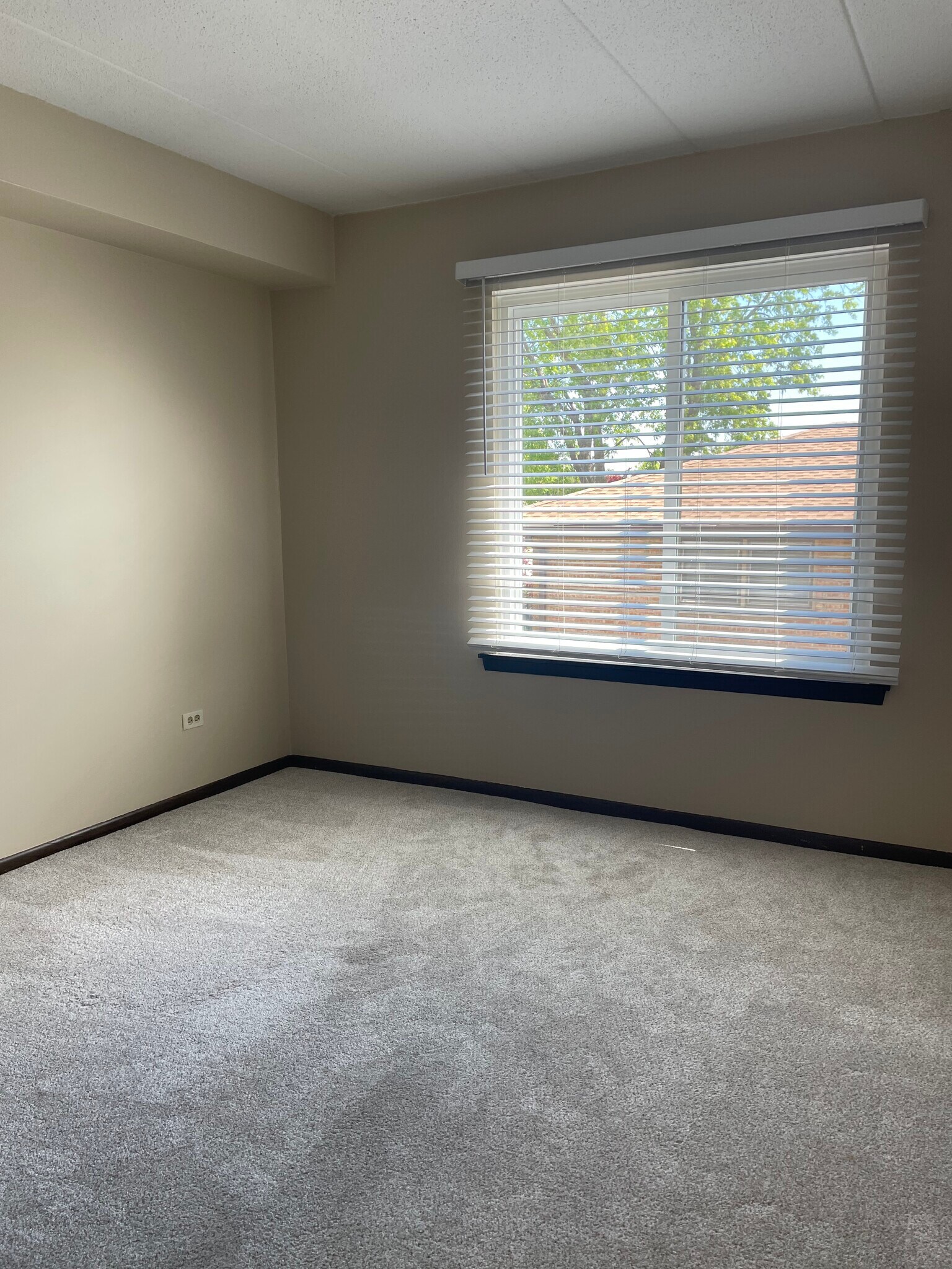 Second bedroom - 13628 Royal Ct