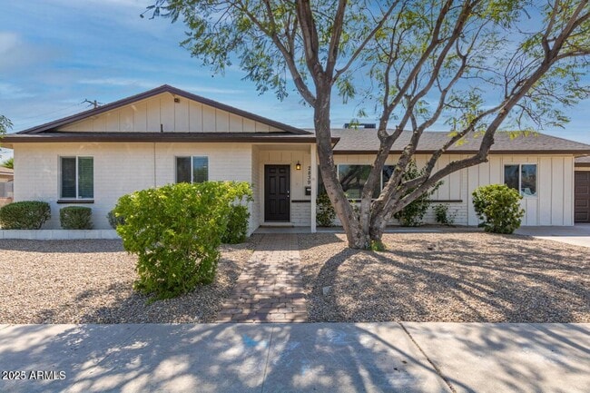 Primary Photo - 2839 N 81st Way