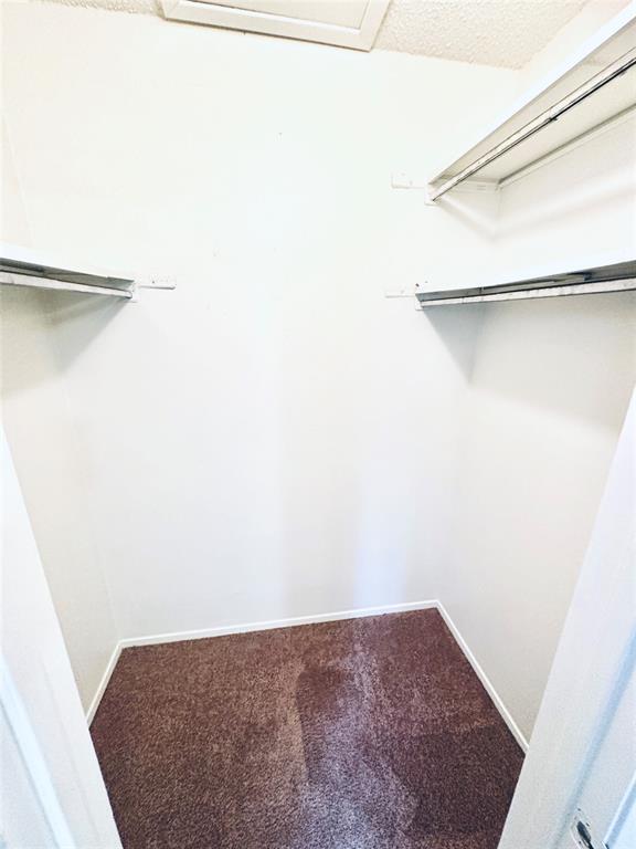 Building Photo - 12504 Tree Line Dr