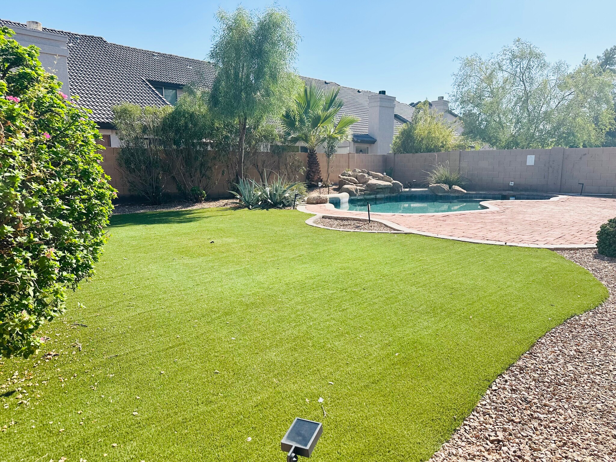 Low-maintenance backyard with artificial turf, a paver patio, and private pool. - 1177 W Laredo Ave