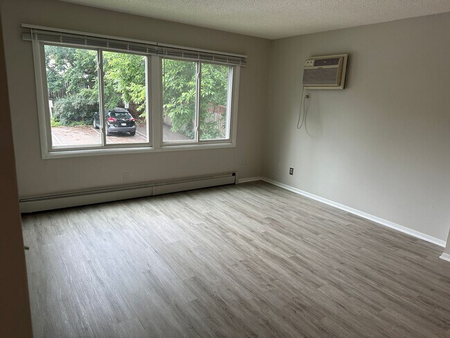 Building Photo - Charming 1BR Condo in Uptown Minneapolis