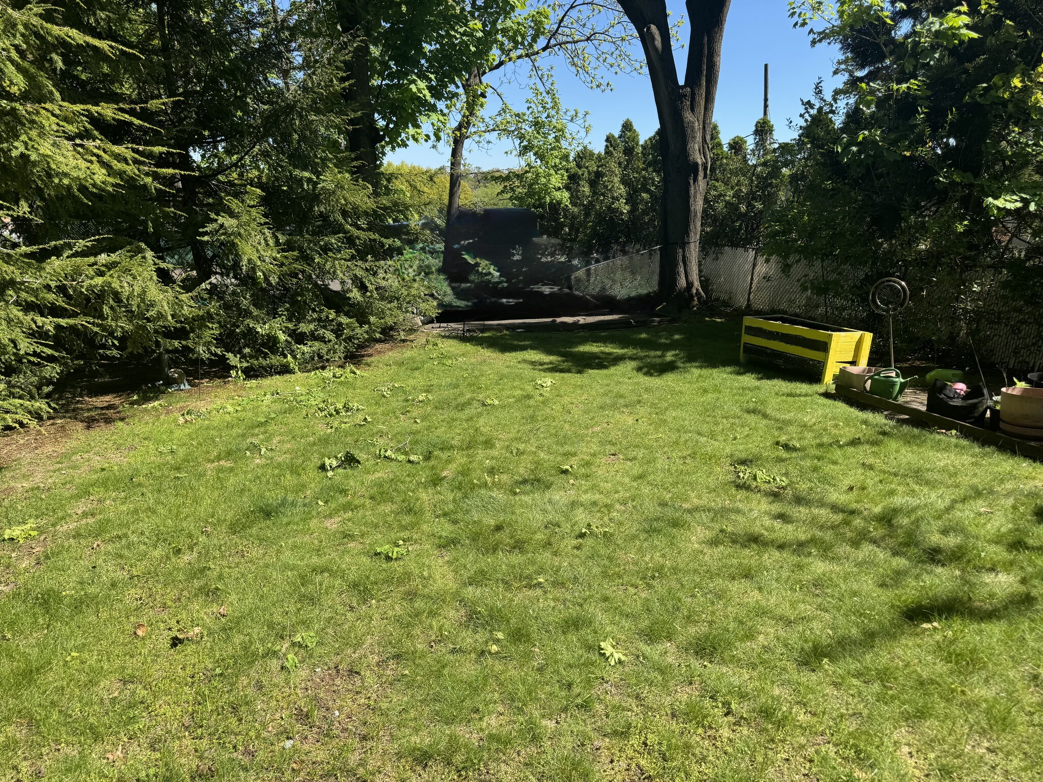 Backyard - 98 Hillside Ave