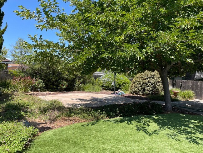 Building Photo - Massive Yard! 6 Bed / 2.5 Bath House on East Falls