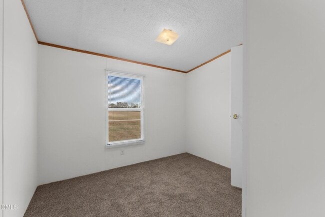 Building Photo - 1385 Live Oak Rd
