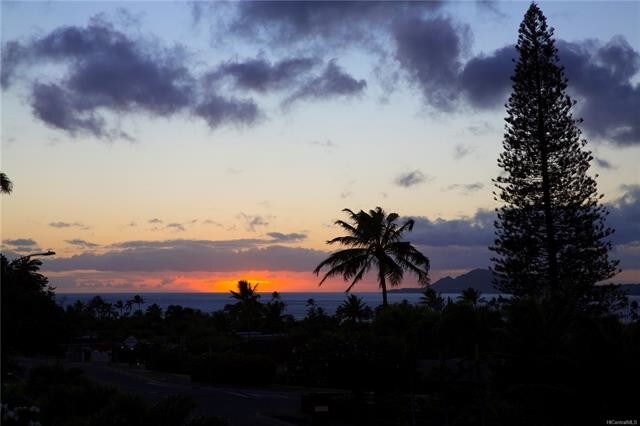 Building Photo - 131 Nawiliwili St