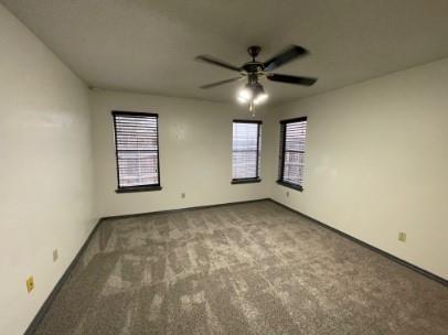 Building Photo - 1233 Armadillo Rd