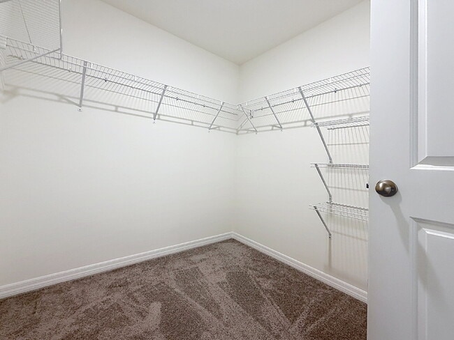 Building Photo - 13559 Southern Magnolia Dr