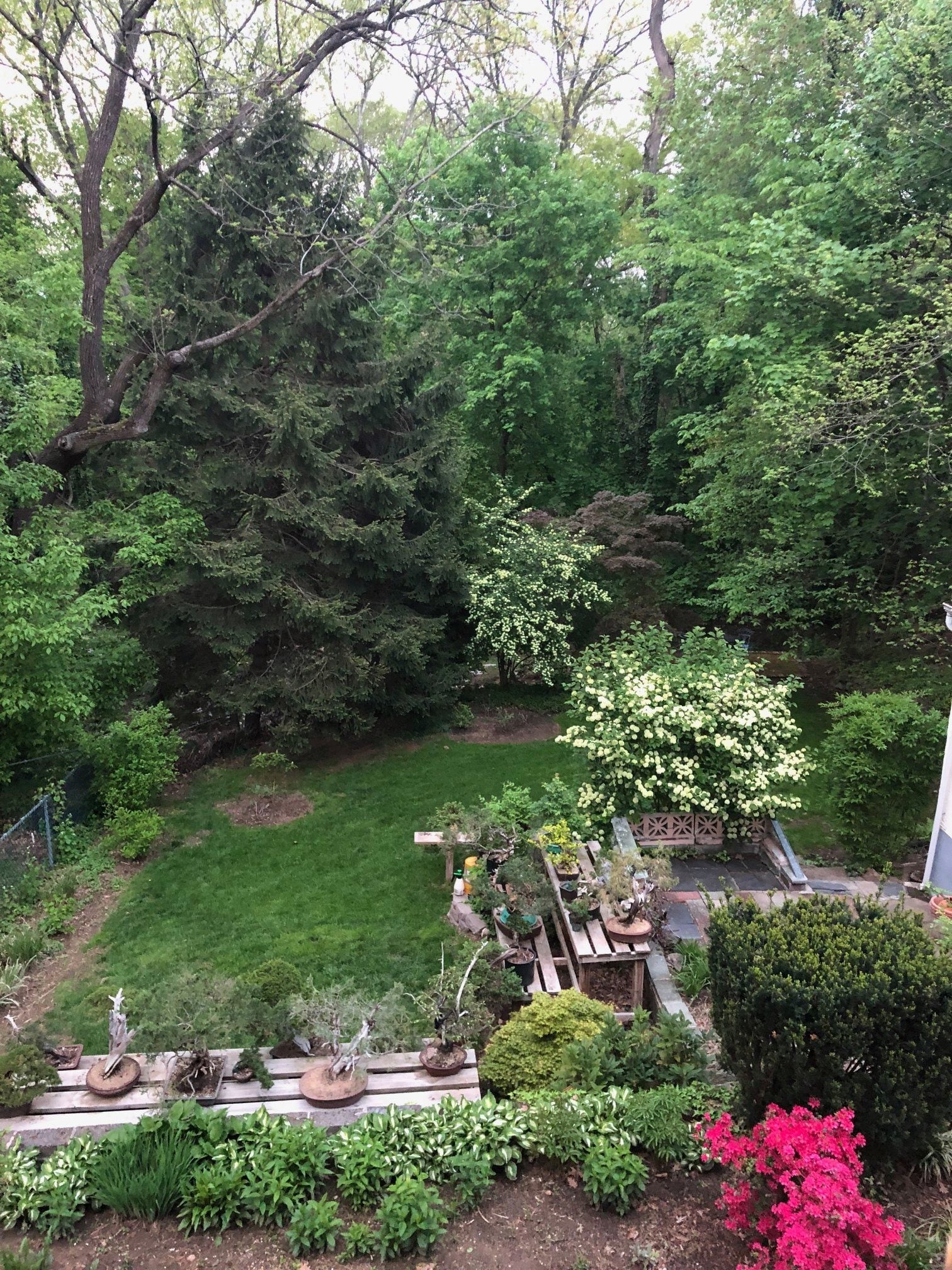 Building Photo - 115 E Laurel Ave