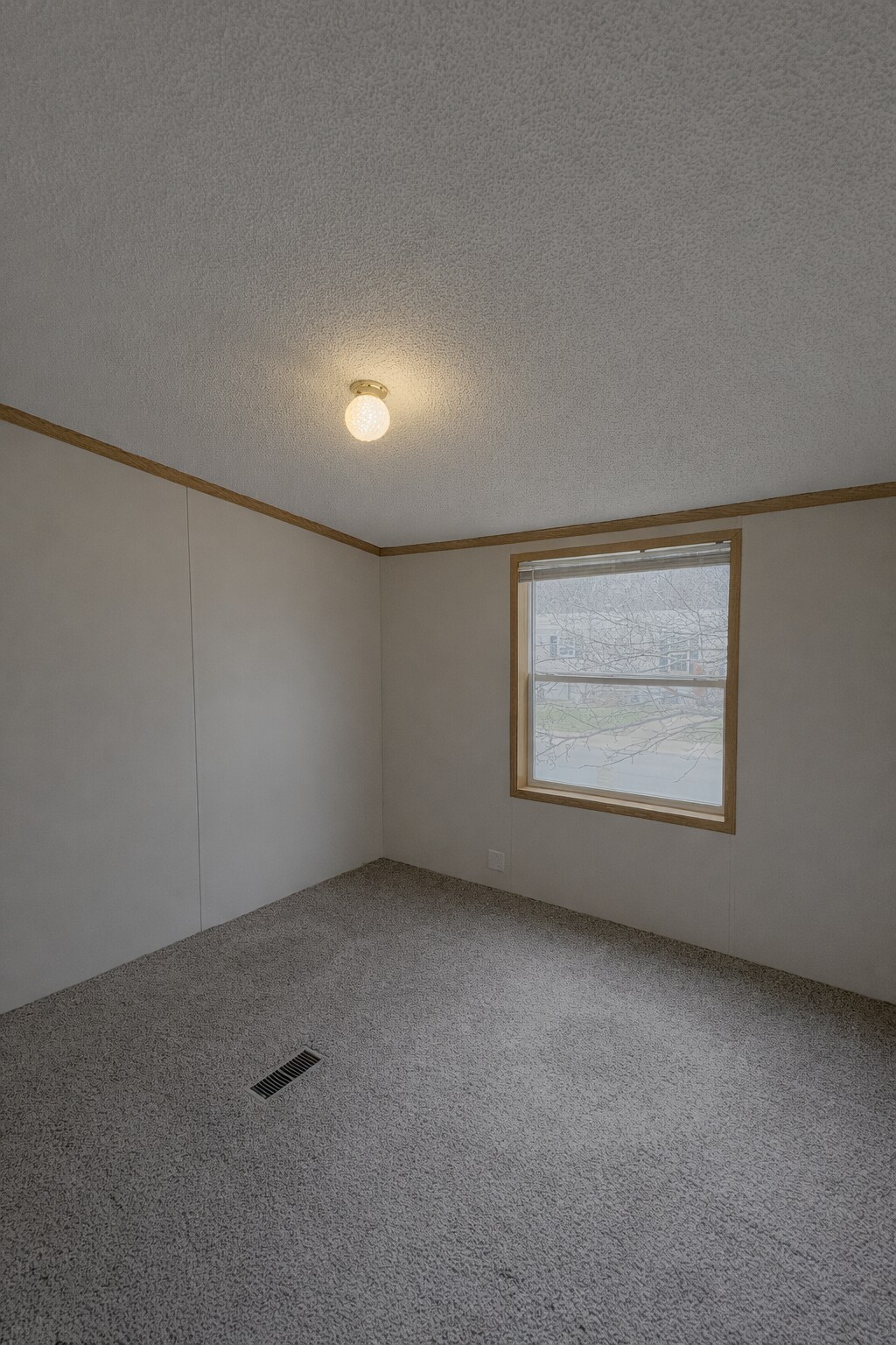 Building Photo - 307 Basket Branch